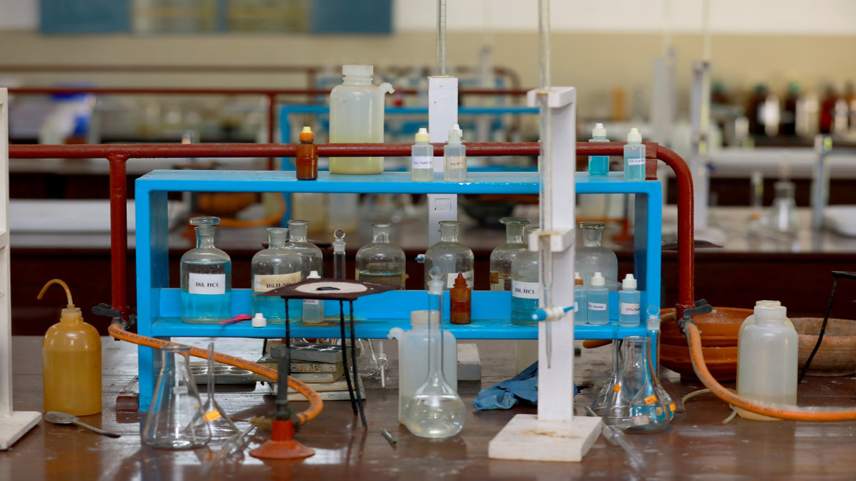 A Multidisciplinary Powerhouse